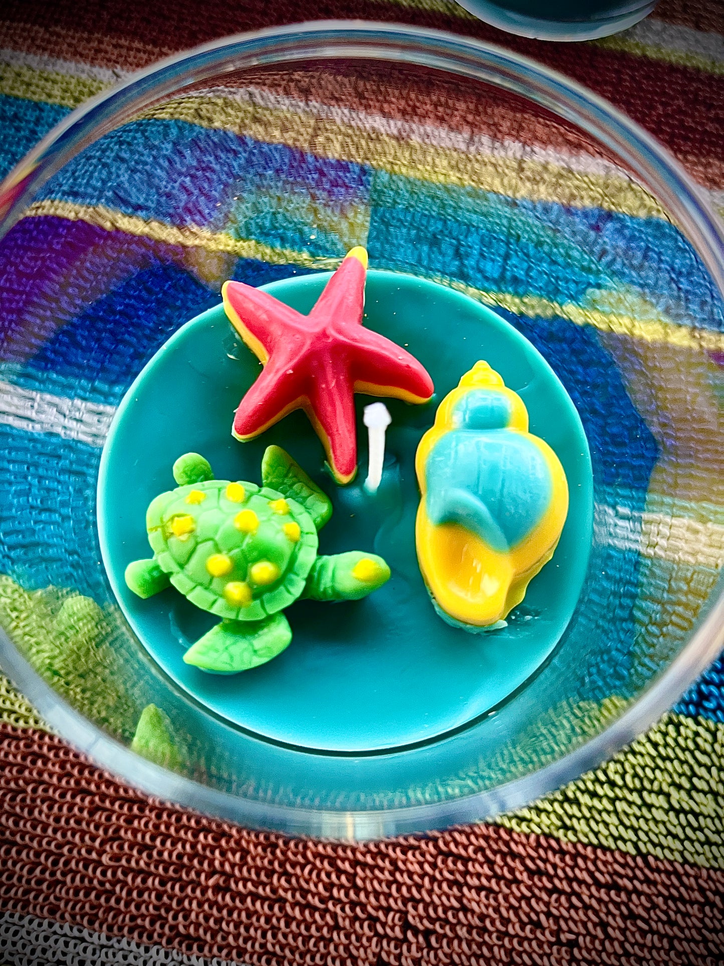 Sea Candle | Small | WicksNWax