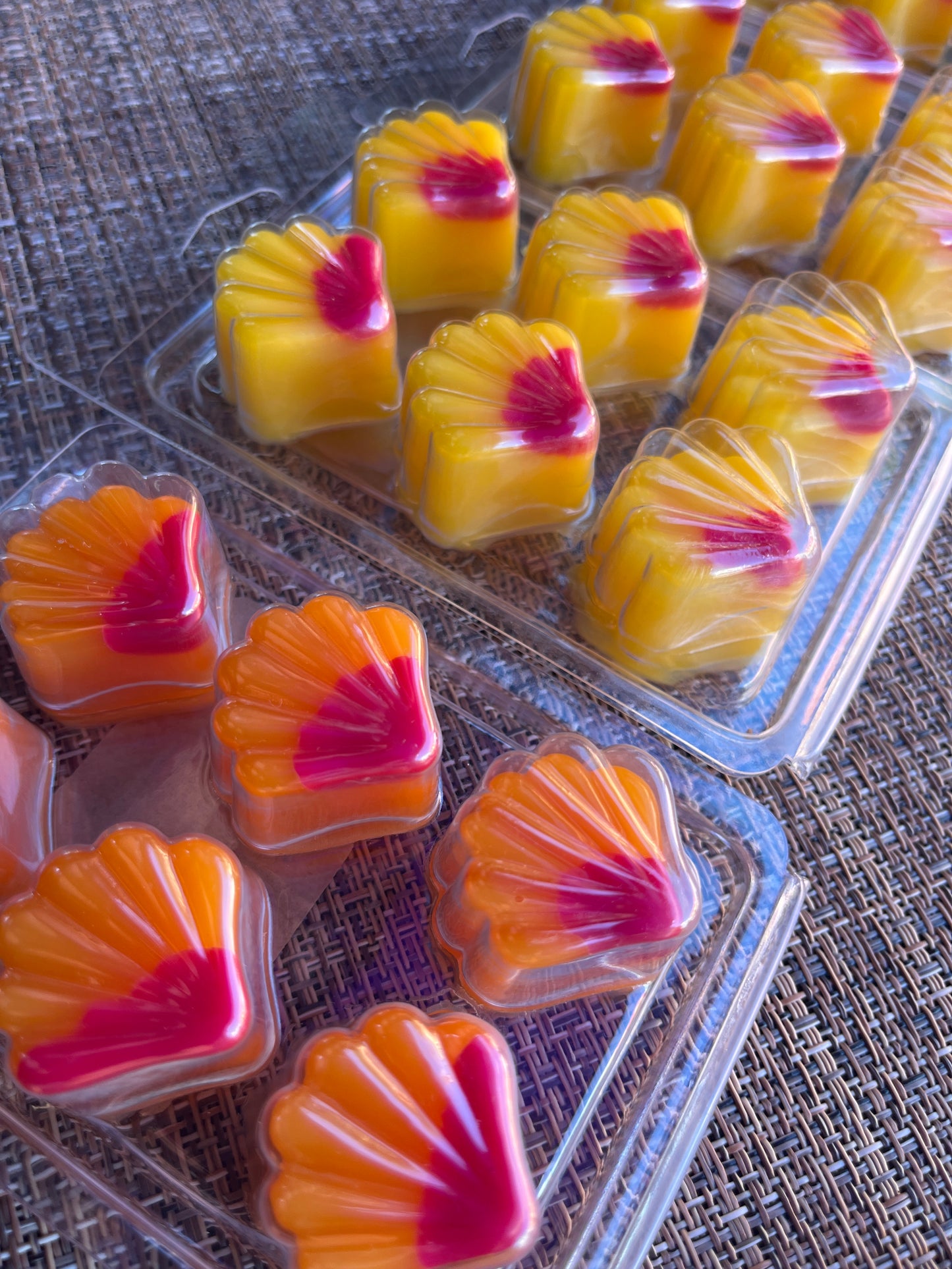 Shell Melts | Sea Salt & Orchid | Wax Melts | WicksNWax