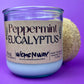Peppermint Eucalyptus | Recycled Glass Candle  | WicksNWax