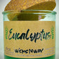 Eucalyptus | Candle | 100% Recycled Glass | WicksNWax