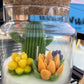 Cactus Candle | Large | WicksNWax