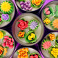 Large cactus art tin surrounded by flower-shaped wax pieces in yellow, red, orange and green
