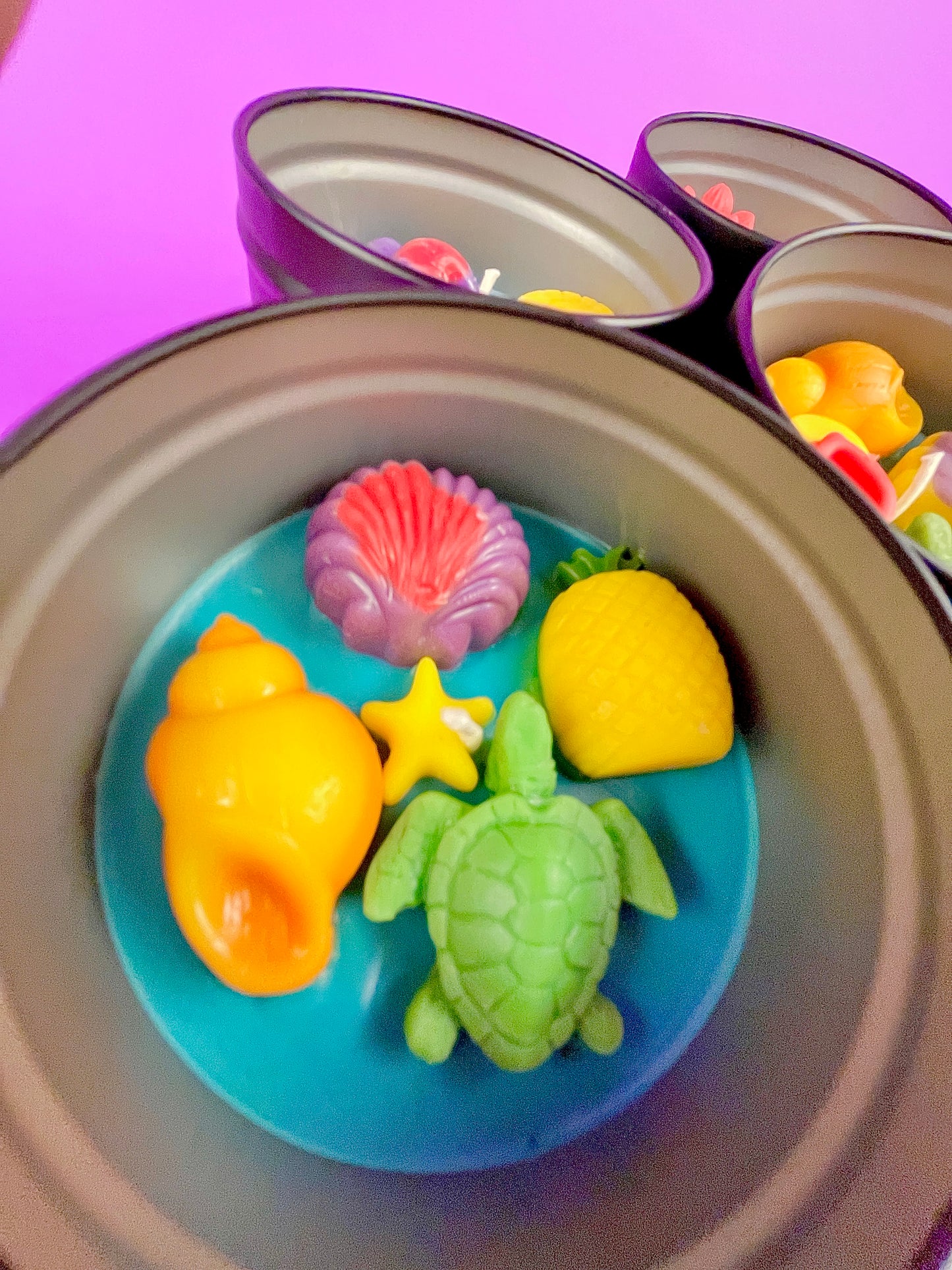 Small round wax melt tin with sea turtle, yellow shells, starfish, and pink shell