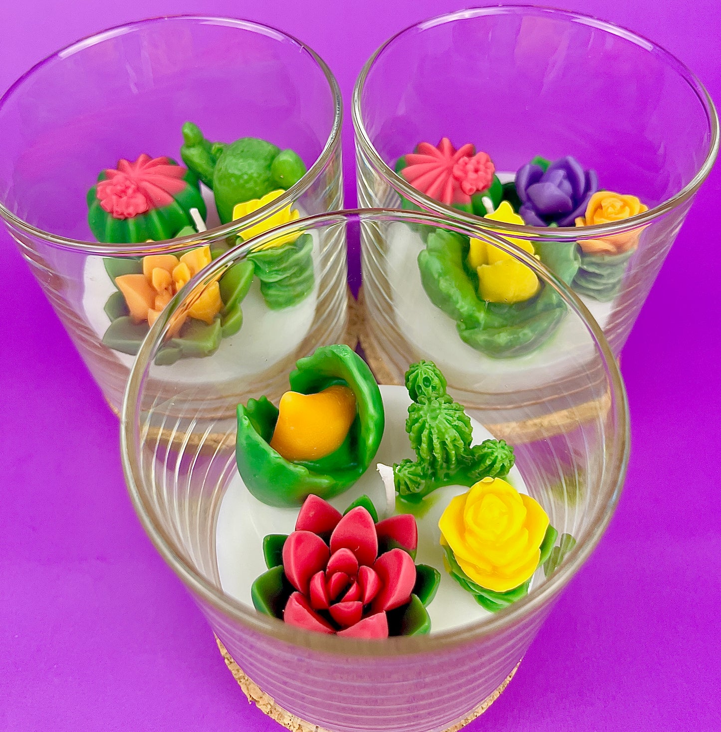 WicksNWax cactus art candle set in clear glass cups with mixed cactus flower wax