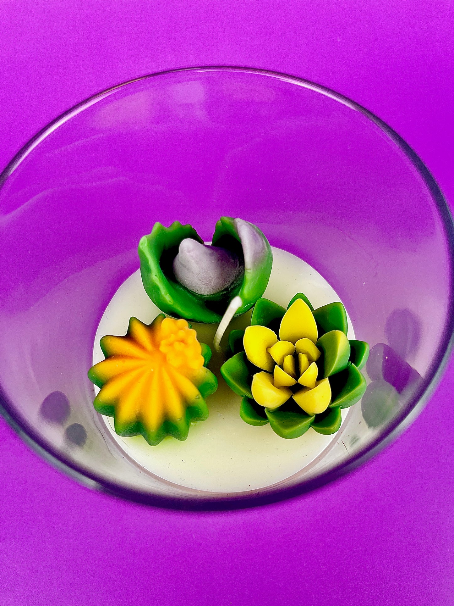 Small cactus art candle: clear glass with green succulents and yellow flower wax