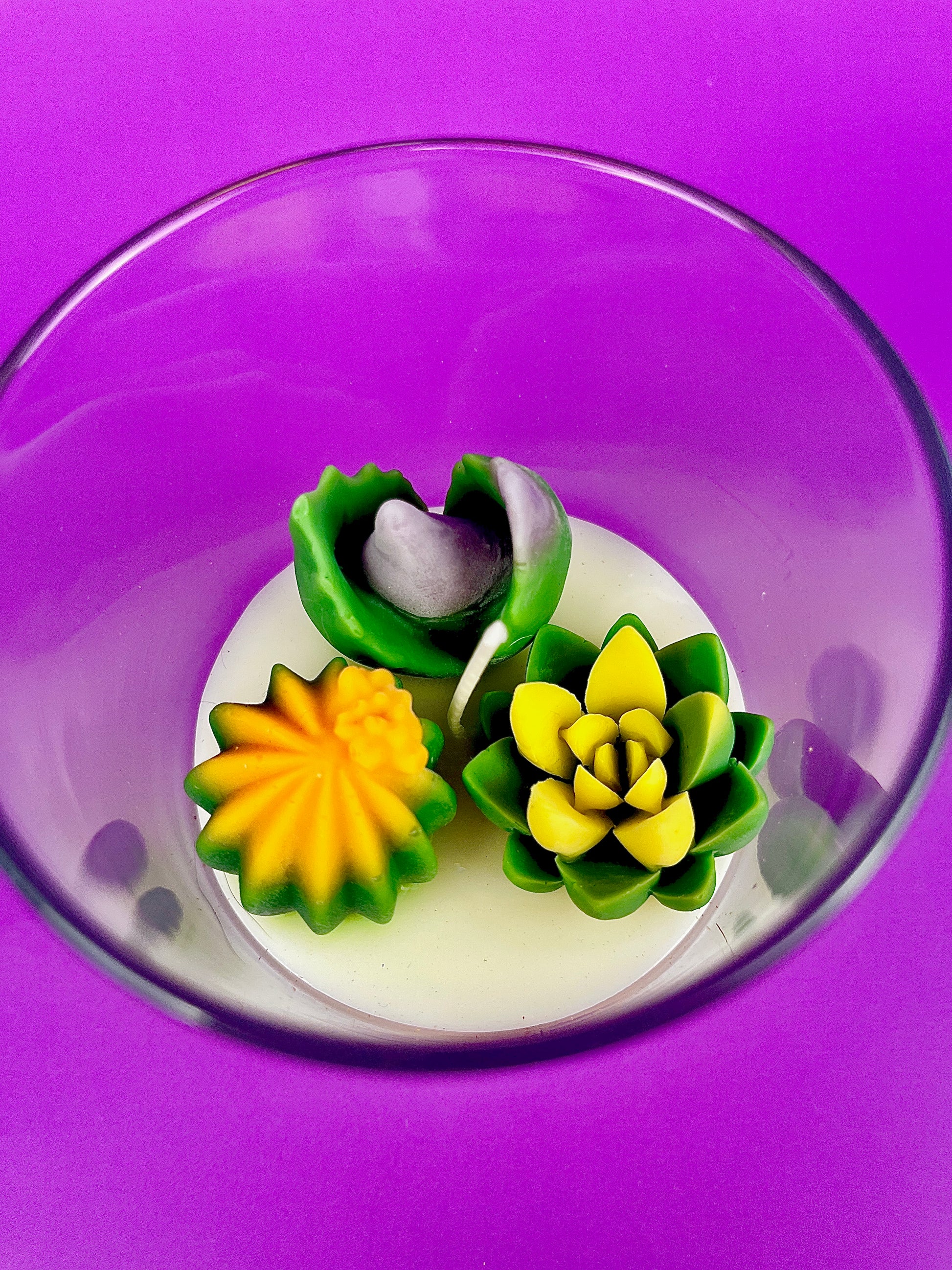 Small cactus art candle: clear glass with green succulents and yellow flower wax